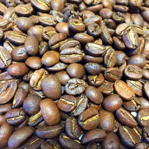 Grains de café Bolivie Yungas bio