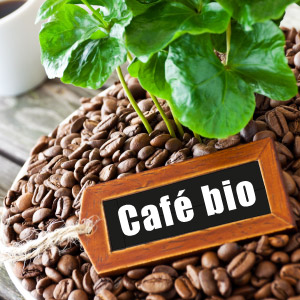 Caf bio