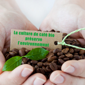 Le caf bio protge l'environnement