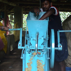 Café arabica bio Inde KERALA