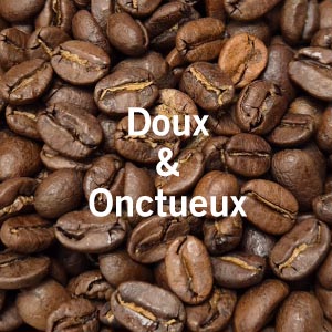 Café Italien BARISTA bio équitable