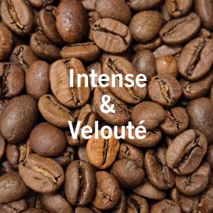 Café italien FLORENTINO