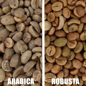 Diffrences entre caf vert arabica et robusta