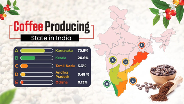 Rgion de production du caf en Inde